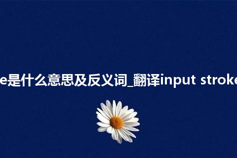 input stroke是什么意思及反义词_翻译input stroke的意思_用法