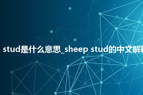 sheep stud是什么意思_sheep stud的中文解释_用法