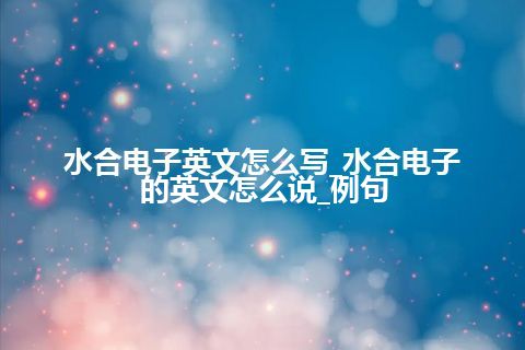 水合电子英文怎么写_水合电子的英文怎么说_例句