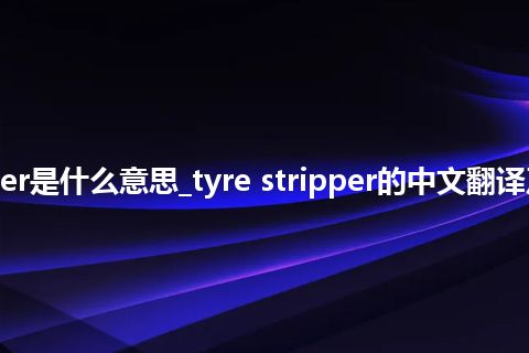 tyre stripper是什么意思_tyre stripper的中文翻译及音标_用法