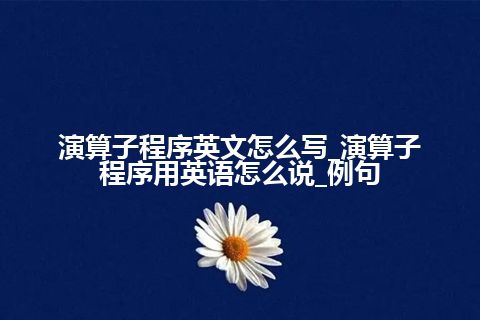 演算子程序英文怎么写_演算子程序用英语怎么说_例句