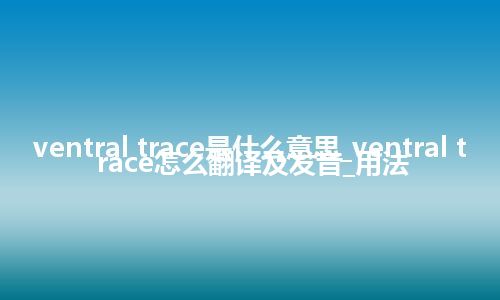 ventral trace是什么意思_ventral trace怎么翻译及发音_用法