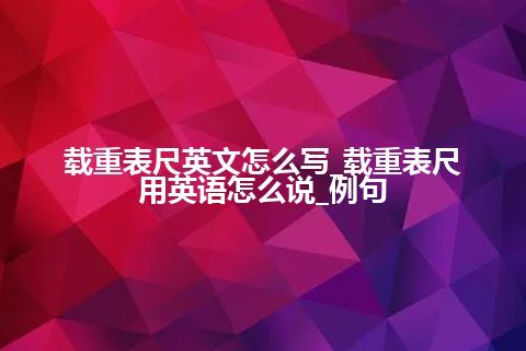 载重表尺英文怎么写_载重表尺用英语怎么说_例句