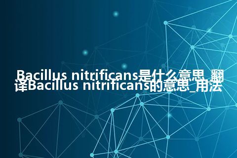 Bacillus nitrificans是什么意思_翻译Bacillus nitrificans的意思_用法