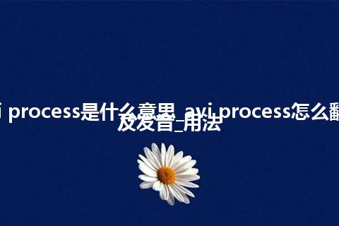 avi process是什么意思_avi process怎么翻译及发音_用法