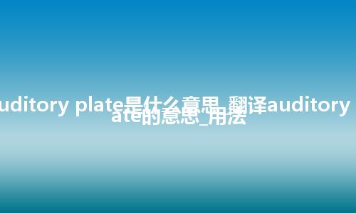 auditory plate是什么意思_翻译auditory plate的意思_用法