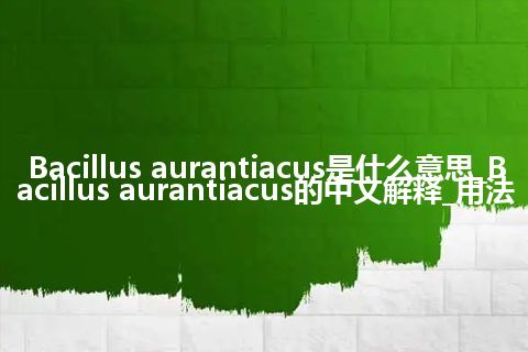 Bacillus aurantiacus是什么意思_Bacillus aurantiacus的中文解释_用法