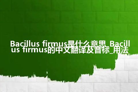 Bacillus firmus是什么意思_Bacillus firmus的中文翻译及音标_用法