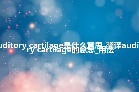 auditory cartilage是什么意思_翻译auditory cartilage的意思_用法