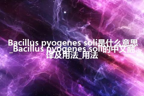 Bacillus pyogenes soli是什么意思_Bacillus pyogenes soli的中文翻译及用法_用法