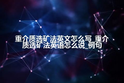 重介质选矿法英文怎么写_重介质选矿法英语怎么说_例句