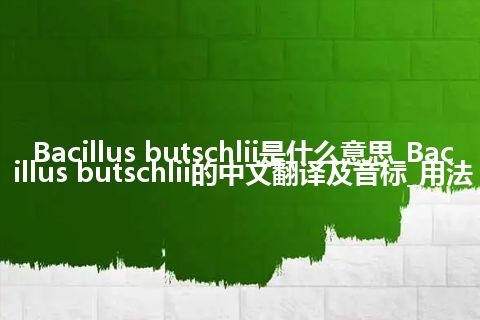 Bacillus butschlii是什么意思_Bacillus butschlii的中文翻译及音标_用法