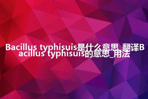 Bacillus typhisuis是什么意思_翻译Bacillus typhisuis的意思_用法