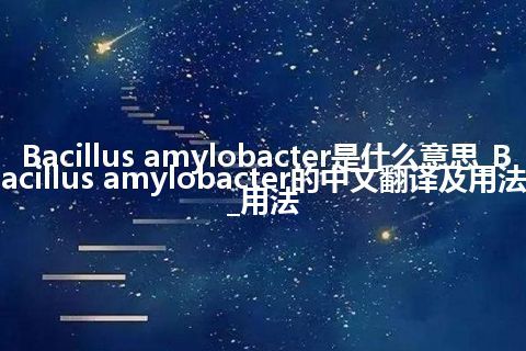 Bacillus amylobacter是什么意思_Bacillus amylobacter的中文翻译及用法_用法