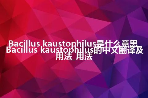 Bacillus kaustophilus是什么意思_Bacillus kaustophilus的中文翻译及用法_用法