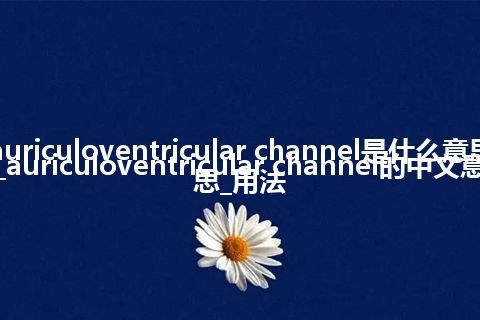 auriculoventricular channel是什么意思_auriculoventricular channel的中文意思_用法