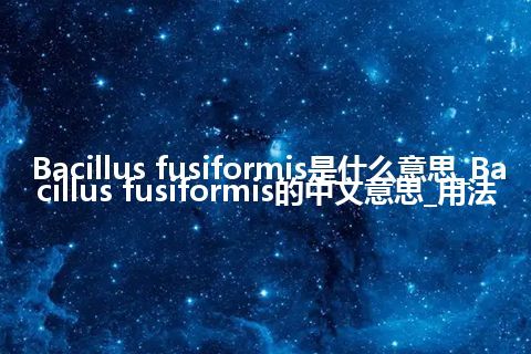 Bacillus fusiformis是什么意思_Bacillus fusiformis的中文意思_用法