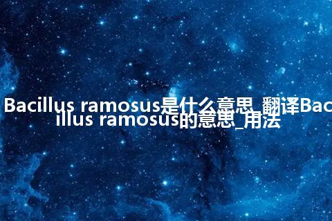 Bacillus ramosus是什么意思_翻译Bacillus ramosus的意思_用法