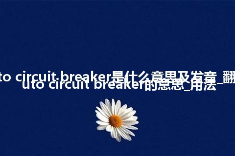 auto circuit breaker是什么意思及发音_翻译auto circuit breaker的意思_用法