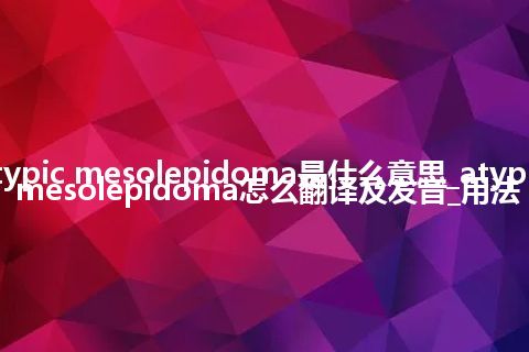 atypic mesolepidoma是什么意思_atypic mesolepidoma怎么翻译及发音_用法