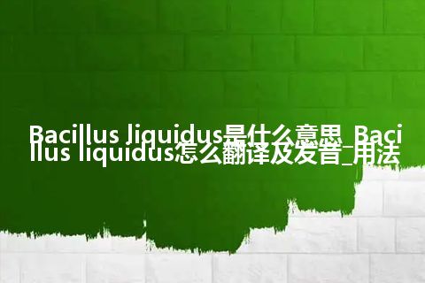 Bacillus liquidus是什么意思_Bacillus liquidus怎么翻译及发音_用法