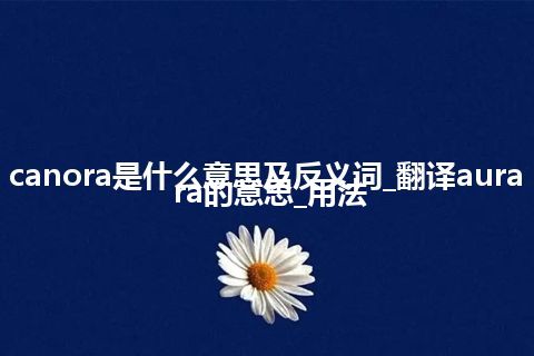 aura canora是什么意思及反义词_翻译aura canora的意思_用法