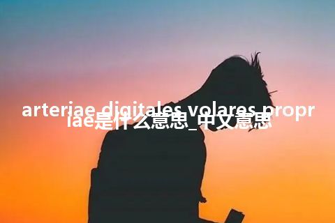 arteriae digitales volares propriae是什么意思_中文意思