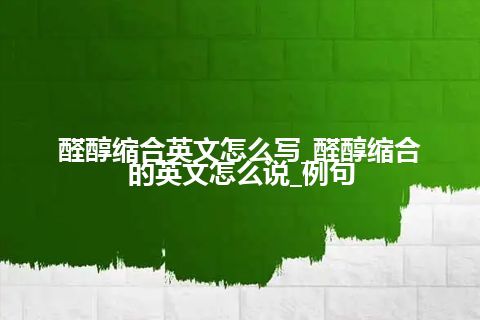 醛醇缩合英文怎么写_醛醇缩合的英文怎么说_例句