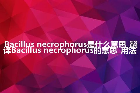 Bacillus necrophorus是什么意思_翻译Bacillus necrophorus的意思_用法