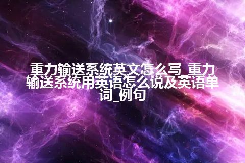 重力输送系统英文怎么写_重力输送系统用英语怎么说及英语单词_例句