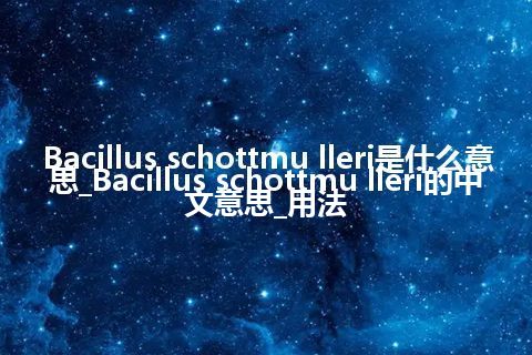 Bacillus schottmu lleri是什么意思_Bacillus schottmu lleri的中文意思_用法