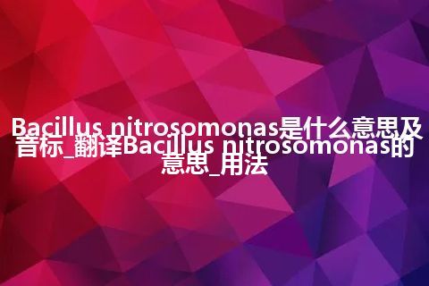 Bacillus nitrosomonas是什么意思及音标_翻译Bacillus nitrosomonas的意思_用法