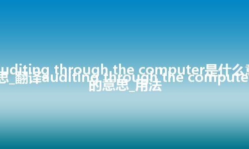 auditing through the computer是什么意思_翻译auditing through the computer的意思_用法