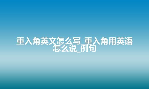 重入角英文怎么写_重入角用英语怎么说_例句