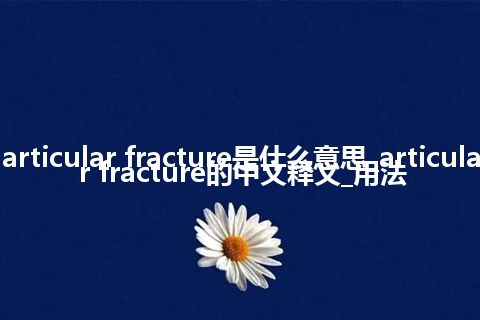 articular fracture是什么意思_articular fracture的中文释义_用法