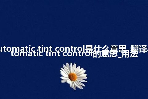 automatic tint control是什么意思_翻译automatic tint control的意思_用法