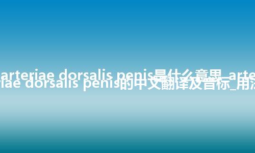 arteriae dorsalis penis是什么意思_arteriae dorsalis penis的中文翻译及音标_用法