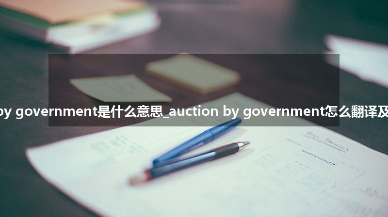 auction by government是什么意思_auction by government怎么翻译及发音_用法