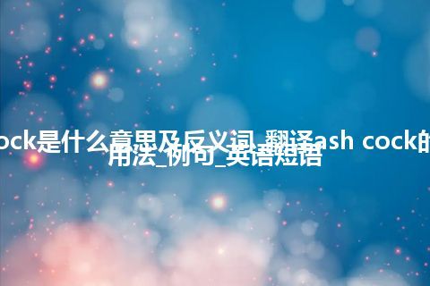 ash cock是什么意思及反义词_翻译ash cock的意思_用法_例句_英语短语