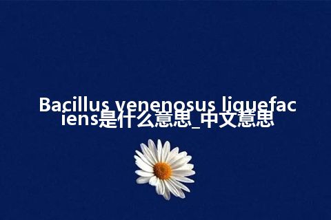 Bacillus venenosus liquefaciens是什么意思_中文意思