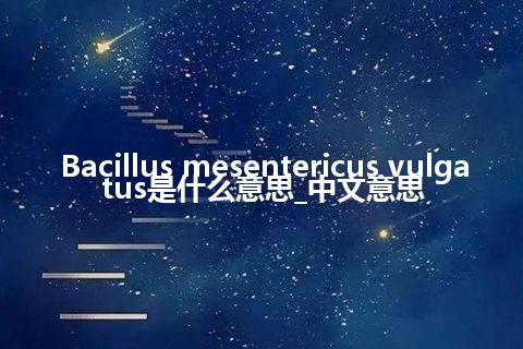 Bacillus mesentericus vulgatus是什么意思_中文意思