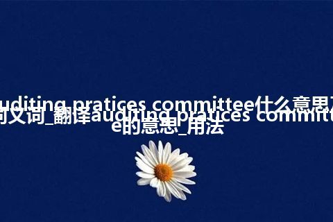 auditing pratices committee什么意思及同义词_翻译auditing pratices committee的意思_用法