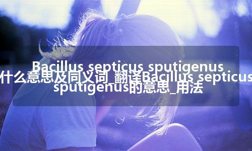 Bacillus septicus sputigenus什么意思及同义词_翻译Bacillus septicus sputigenus的意思_用法