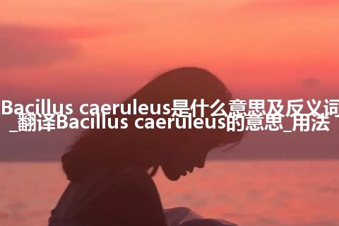 Bacillus caeruleus是什么意思及反义词_翻译Bacillus caeruleus的意思_用法