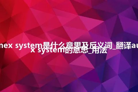 automex system是什么意思及反义词_翻译automex system的意思_用法