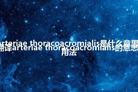 arteriae thoracoacromialis是什么意思_翻译arteriae thoracoacromialis的意思_用法