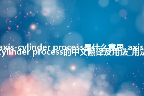 axis-cylinder process是什么意思_axis-cylinder process的中文翻译及用法_用法