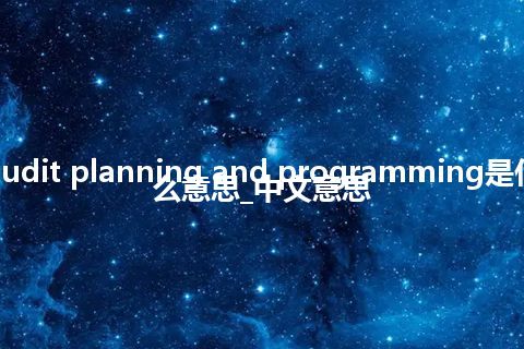 audit planning and programming是什么意思_中文意思