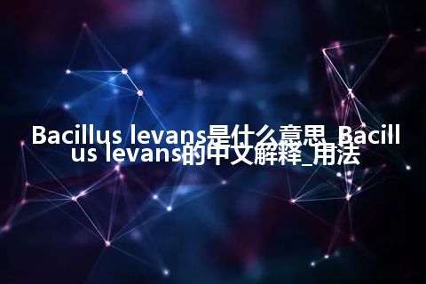 Bacillus levans是什么意思_Bacillus levans的中文解释_用法