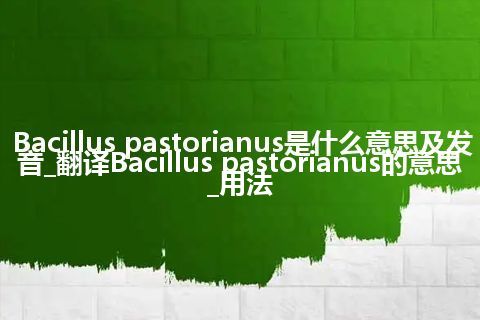 Bacillus pastorianus是什么意思及发音_翻译Bacillus pastorianus的意思_用法